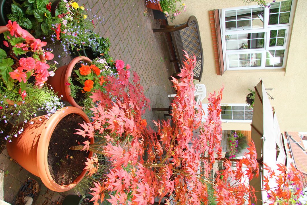 Gardens Penhill